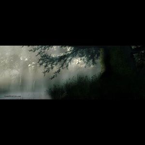 Meet your Posher, Afsheen